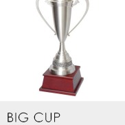 Big Cup