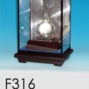 F316