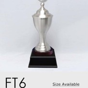 FT6