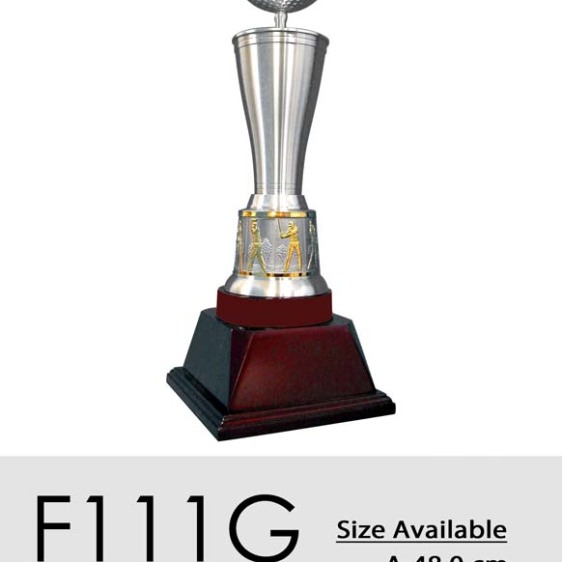 F111g