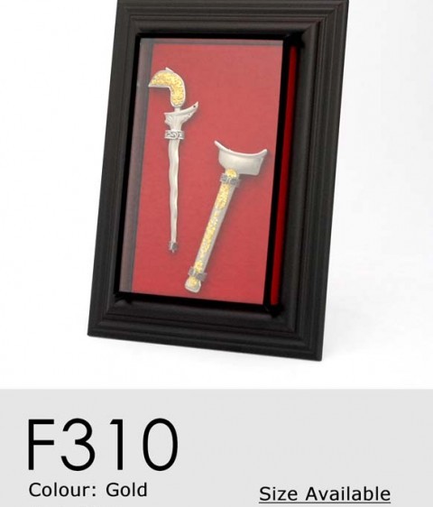 F310SV