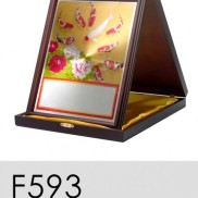 F593B
