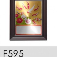 F595B