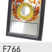 F766