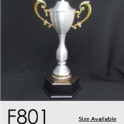 F801